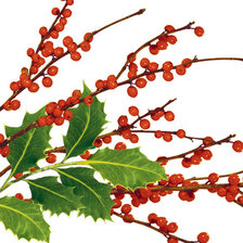 Схема вышивки «Рождественская подушка»