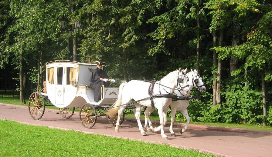 карета - кареты, коляска, белая, карета, экипаж, лошади, упряжка, среднев - оригинал