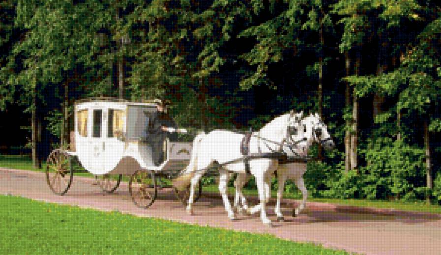 карета - белая, среднев, карета, коляска, экипаж, кареты, лошади, упряжка - предпросмотр