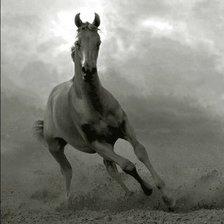 Схема вышивки «№179872»