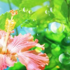 Схема вышивки «7»