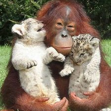 Схема вышивки «мама с малышами»