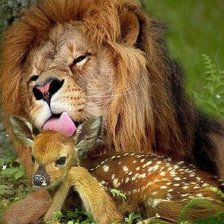 Схема вышивки «лев и олененок»