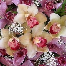 Схема вышивки «орхидеи»