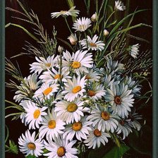 Схема вышивки «ромашки»