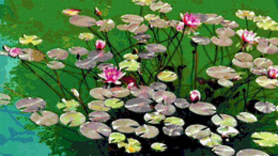 waterlily - çiçek - предпросмотр