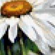 Предпросмотр схемы вышивки «цветочные акварели. ромашки» (№180087)