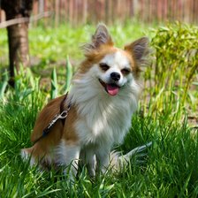 Схема вышивки «микки 2»