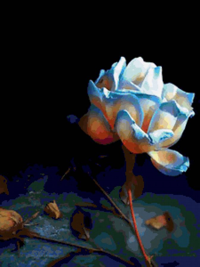 розочка - предпросмотр