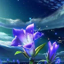 Схема вышивки «ночные цветы»