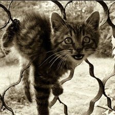 Схема вышивки «акробат»