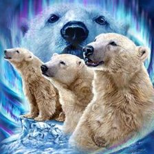 Схема вышивки «белые медведи»