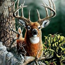 Схема вышивки «благородный олень»