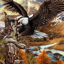 Схема вышивки «орлан»