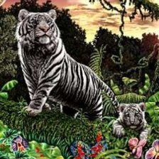 Схема вышивки «белые тигры»