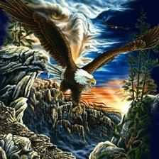 Схема вышивки «белоголовый орел»