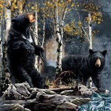 Схема вышивки «гризли»