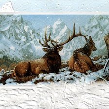 Схема вышивки «Олени»