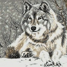 Схема вышивки «Снежный волк»