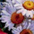 Предпросмотр схемы вышивки «Ромашки» (№180218)
