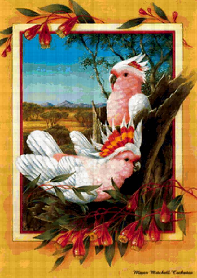 РАЙСКИЕ ПТИЦЫ - животный мир, птицы - предпросмотр