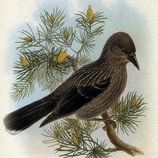 Схема вышивки «№180324»