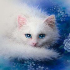 вид коктейля