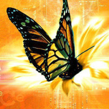 Схема вышивки «233»