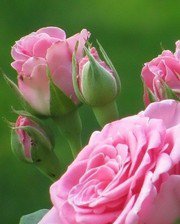 Схема вышивки «6928»