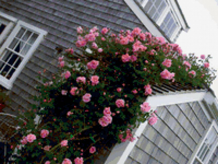 нантакет - предпросмотр