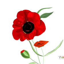 Схема вышивки «Женщина-цветок»