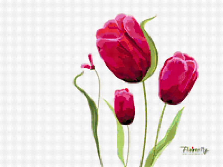 Женщина-цветок - девушка, тюльпан, женщина, романтика, цветы - предпросмотр