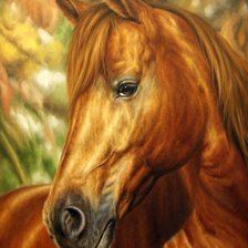 Схема вышивки «Рыжий конь»