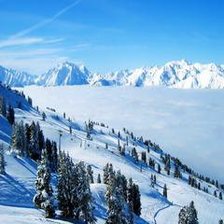 Схема вышивки «№180524»