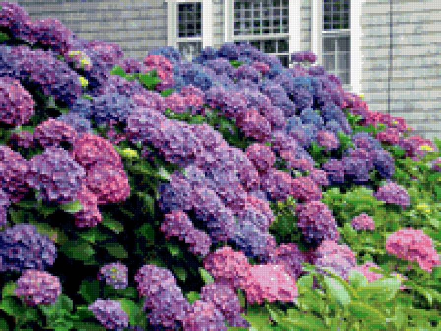 нантакет - предпросмотр