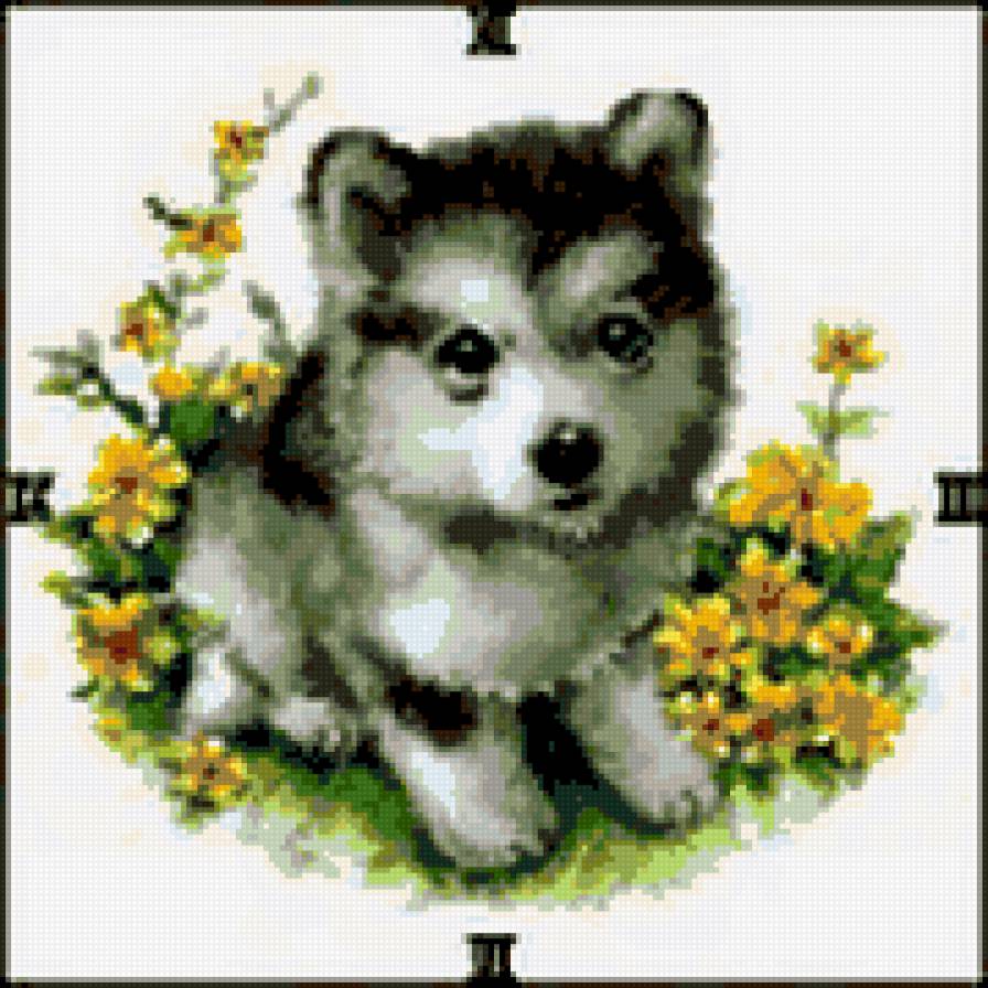 Часы, щенок - щенок, часы, собаки - предпросмотр