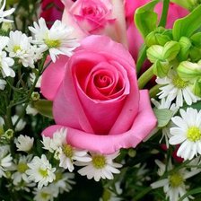 Схема вышивки «№180813»