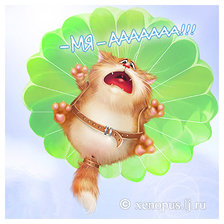 Схема вышивки «мяууууууууууууууууу»