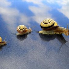 Схема вышивки «Улитки»