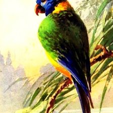 Схема вышивки «КЕША»