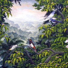 Схема вышивки «райские птицы»