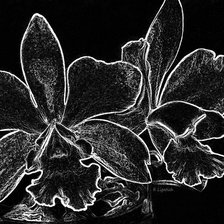 Схема вышивки «№181183»