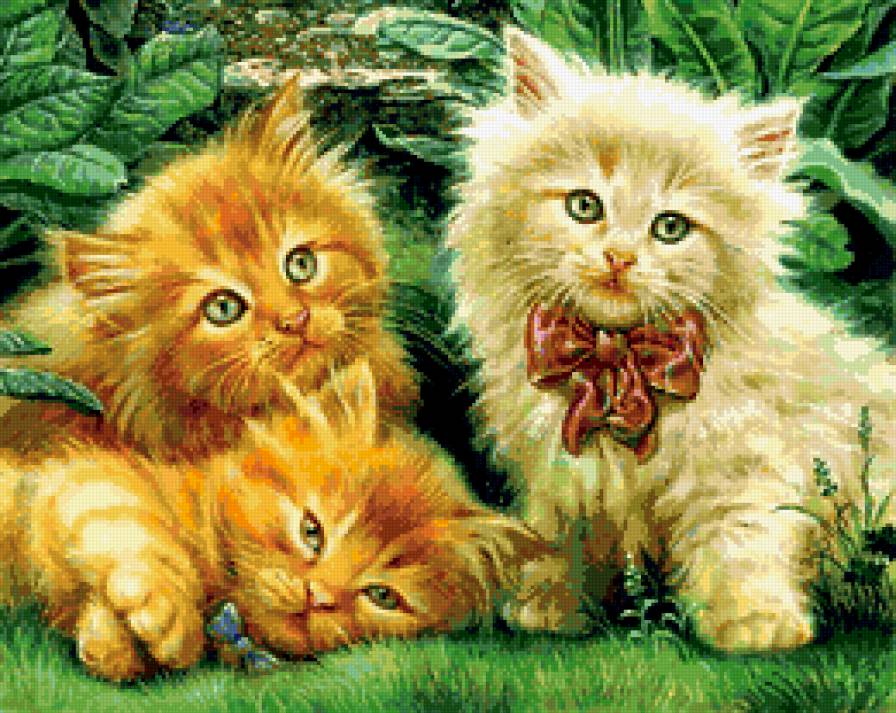 Котятки - животные - предпросмотр