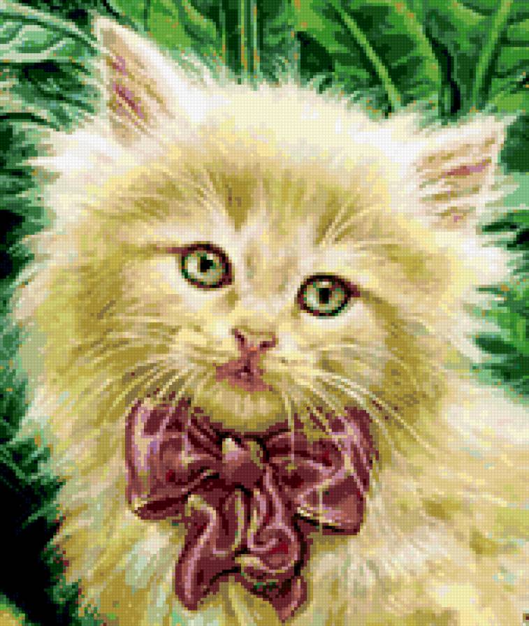 Портрет - кошка, животные - предпросмотр