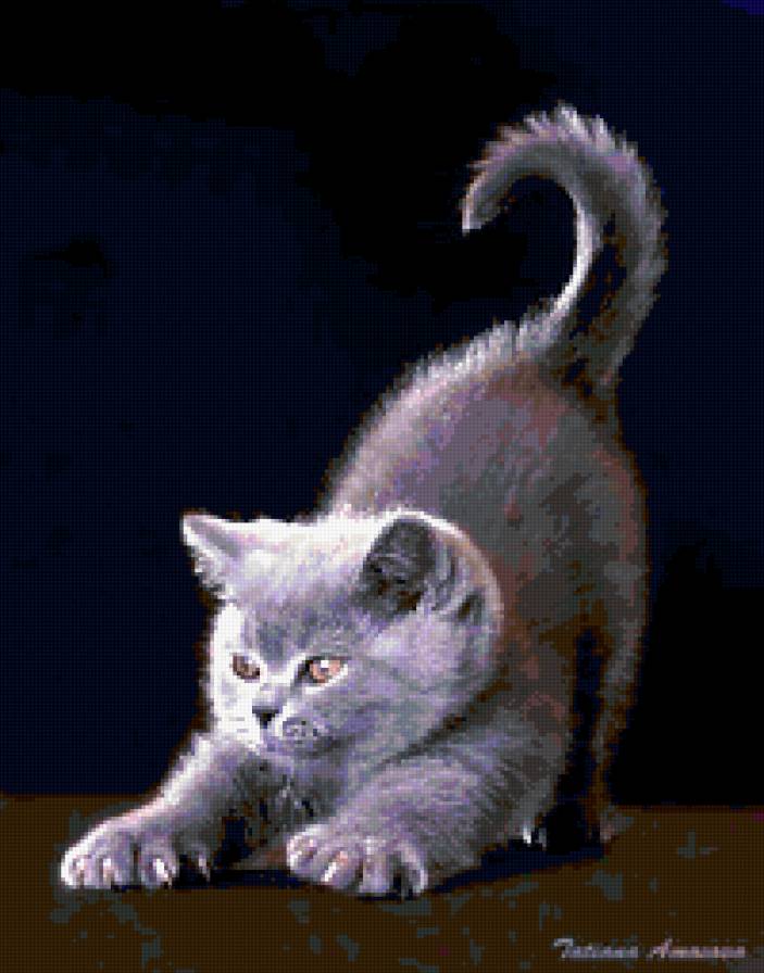 кися 2 - предпросмотр