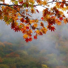 Схема вышивки «осенние дали»