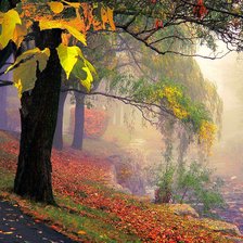 Схема вышивки «осенний пейзаж»