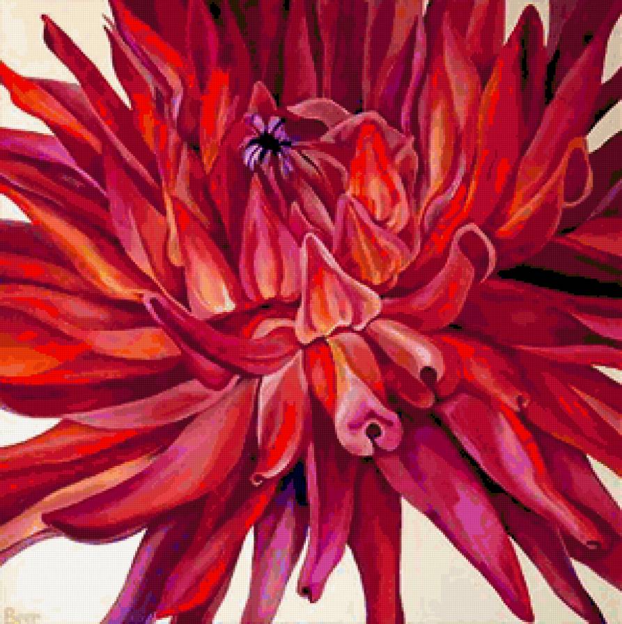 цветок - цветок, цветы - предпросмотр