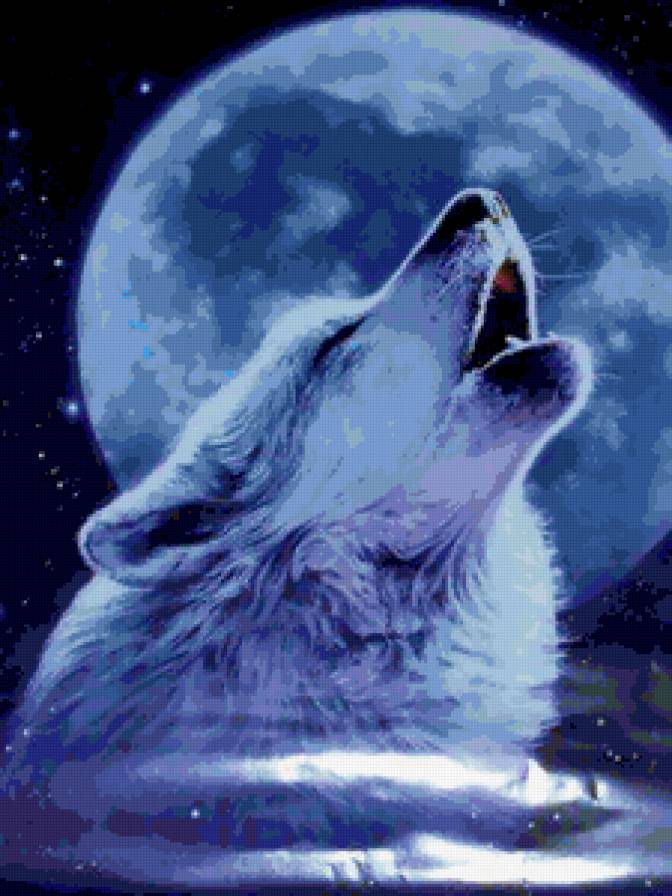 Волк - картина, природа, ночь, волк, луна - предпросмотр