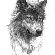 Схема вышивки «Волк»